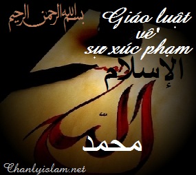 GIÁO LUẬT VỀ SỰ XÚC PHẠM ĐẾN ALLAH - ISLAM - THIÊN SỨ MUHAMMAD VÀ CÁC VỊ SHAHABAH